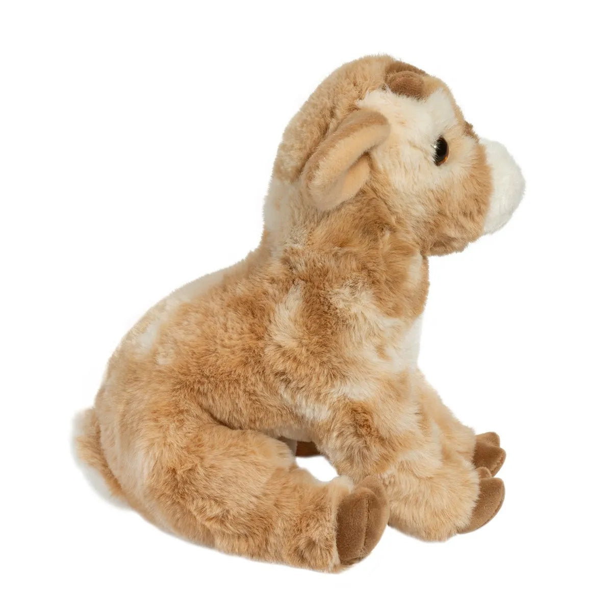 Dandie Soft Goat | Douglas