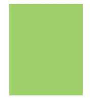 Citrus Green Solid Gift Tissue