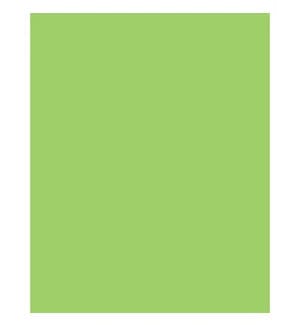 Citrus Green Solid Gift Tissue