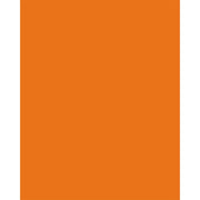 Orange Solid Gift Tissue