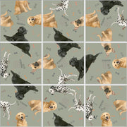 Dogs Squzzle Puzzle | Fun Squared Games