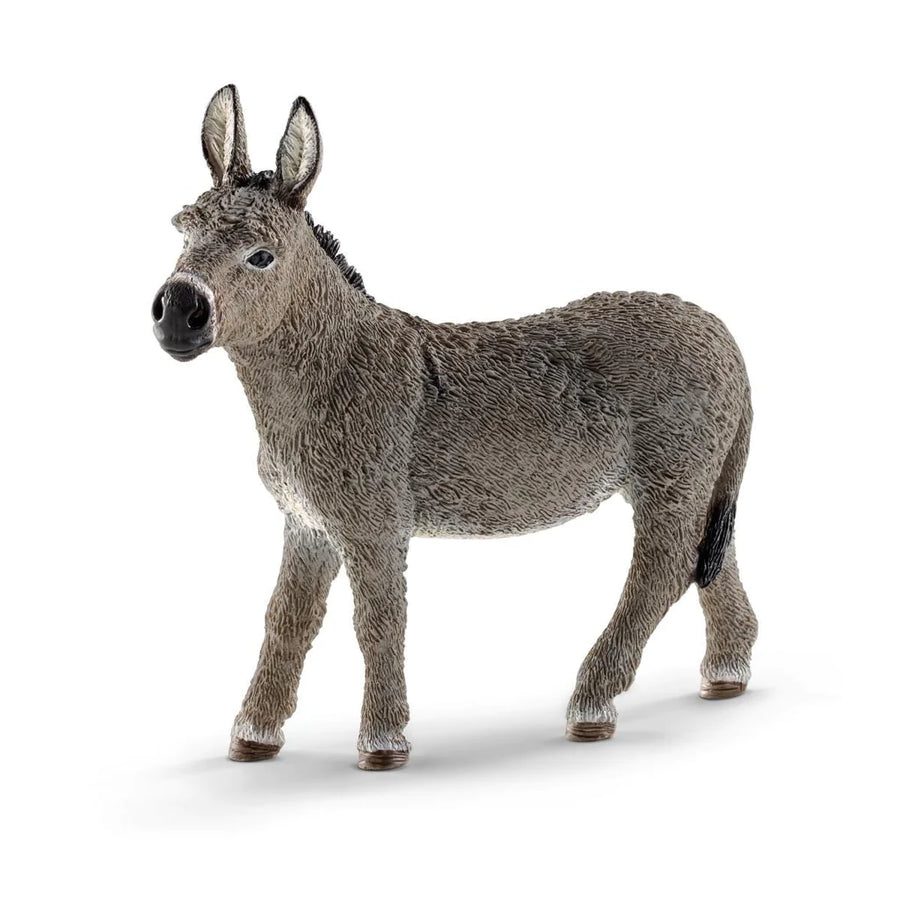 side view of donkey