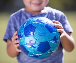 Size 3 Soccer Ball - Shark City | Crocodile Creek