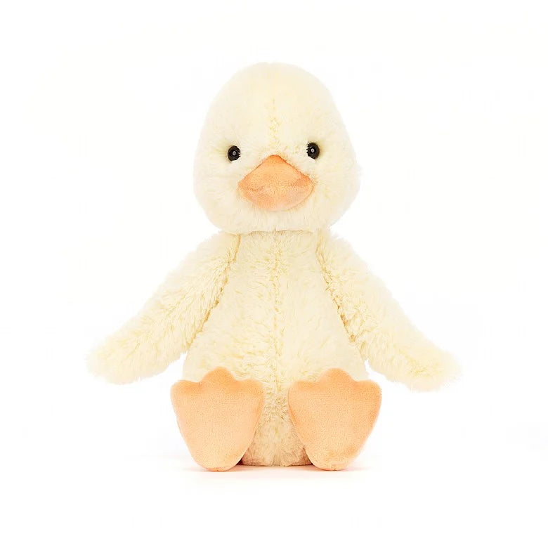 front view of duckling