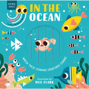 Magic Window: in the Ocean