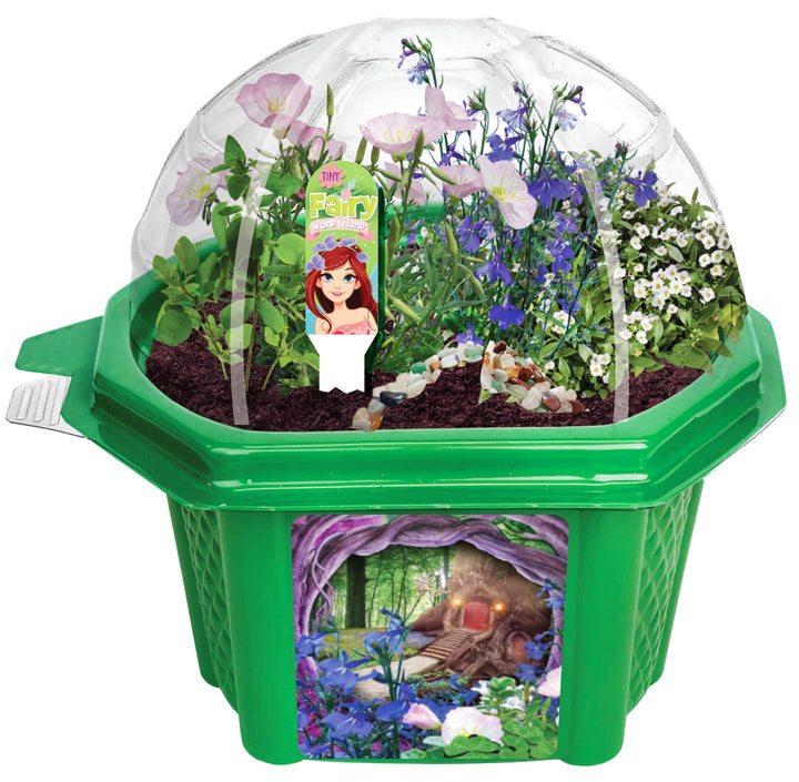 Tiny Fairy Wonderland Micro Terrarium