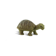 Tortoises | Good Luck Minis