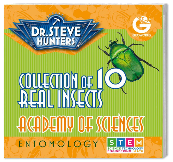 Bug's World - Collection of 10 Real Insects | Safari LTD