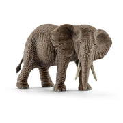 front side view of african elephant