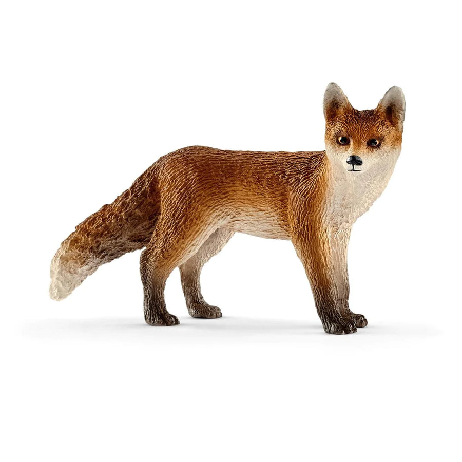 side view of fox