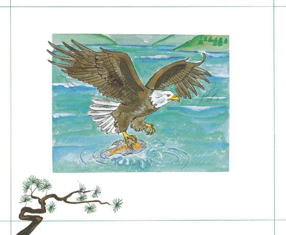 Bald Eagles