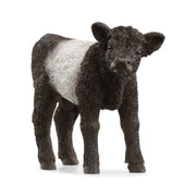 angled front view of calf