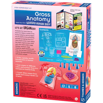 Gross Anatomy Make Your Own Squishy Human Body The Curious Bear