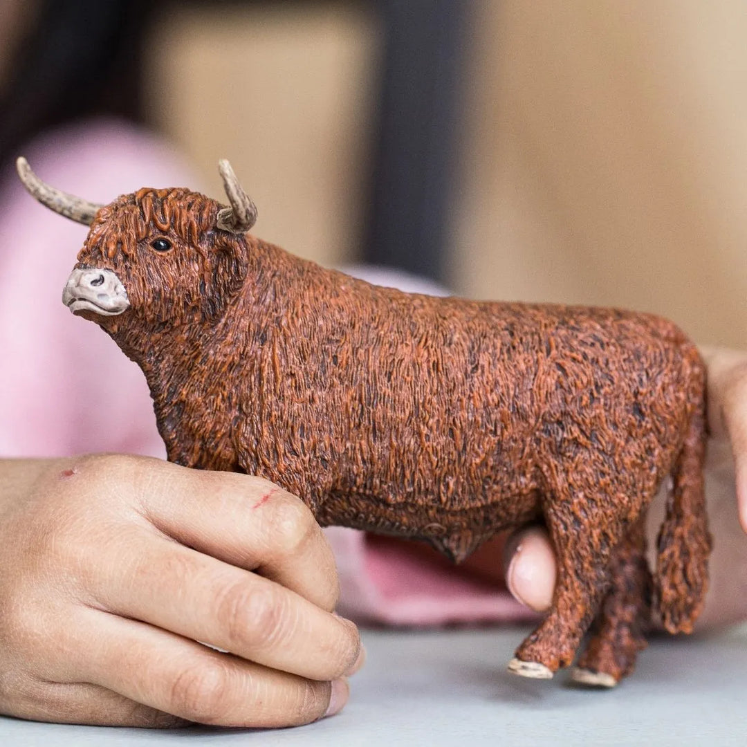 Highland Bull | Schleich