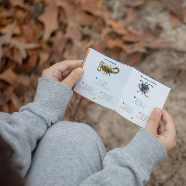 Bug's World - Collection of 10 Real Insects | Safari LTD