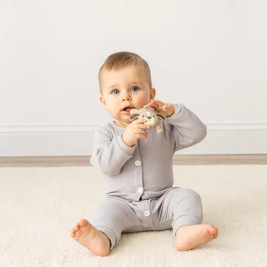 Ritzy™ Puppy Baby Molar Teether
