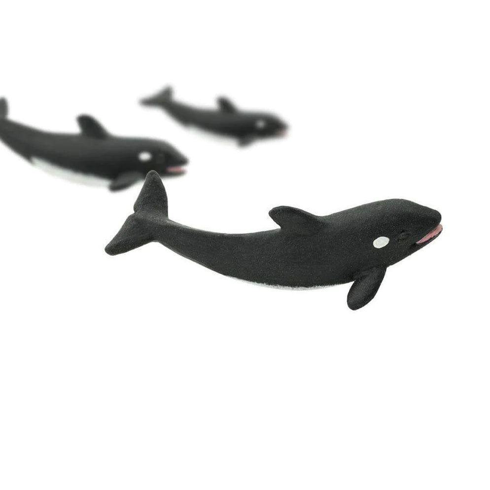 Killer Whales (Orcas) - Good Luck Minis