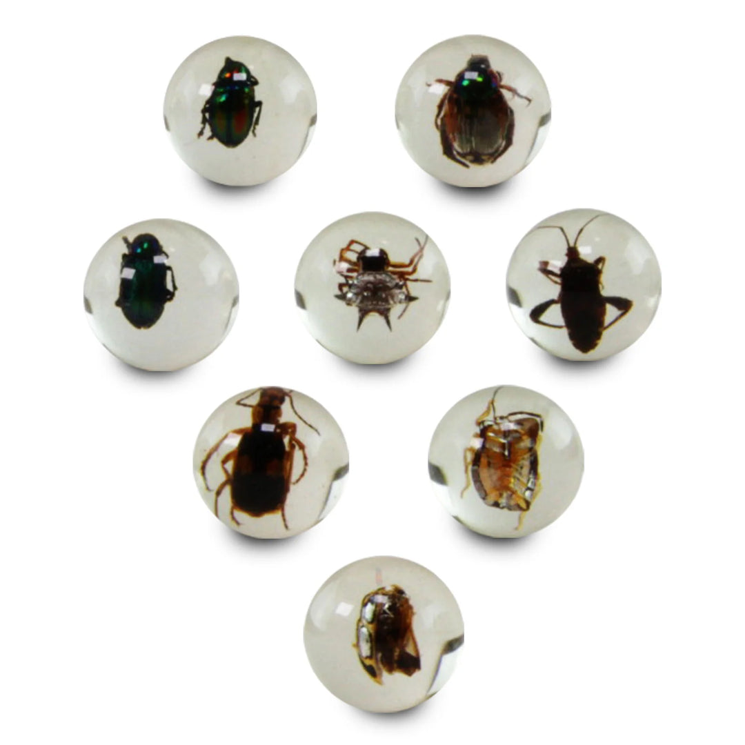 Geoworld Bug Marbles | Safari LTD
