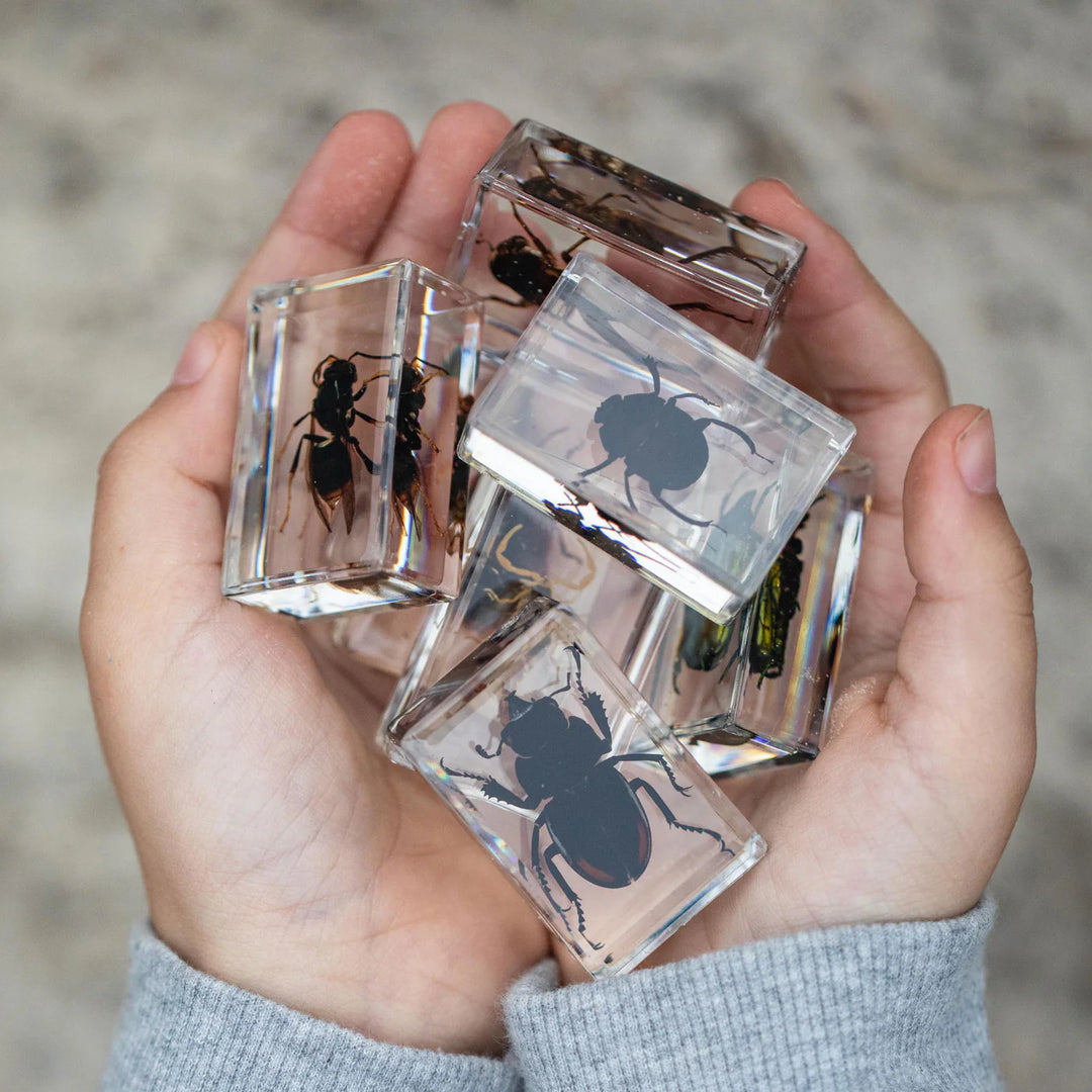 Bug's World - Collection of 10 Real Insects | Safari LTD