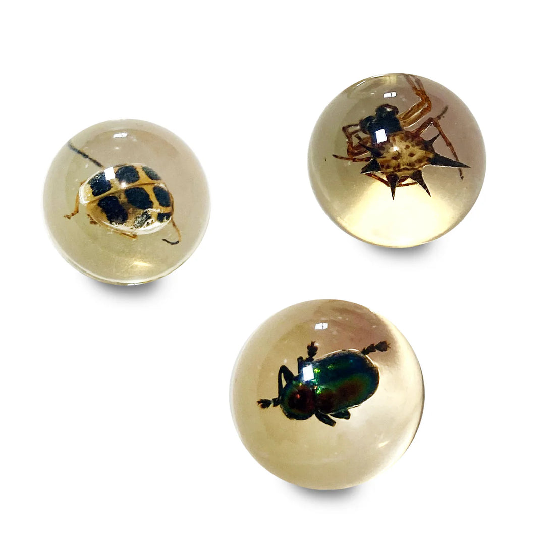 Geoworld Bug Marbles | Safari LTD