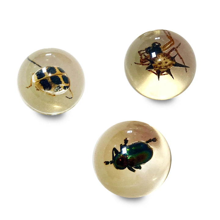 Geoworld Bug Marbles | Safari LTD