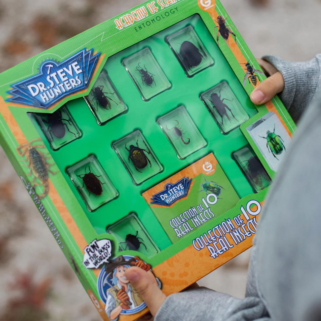 Bug's World - Collection of 10 Real Insects | Safari LTD