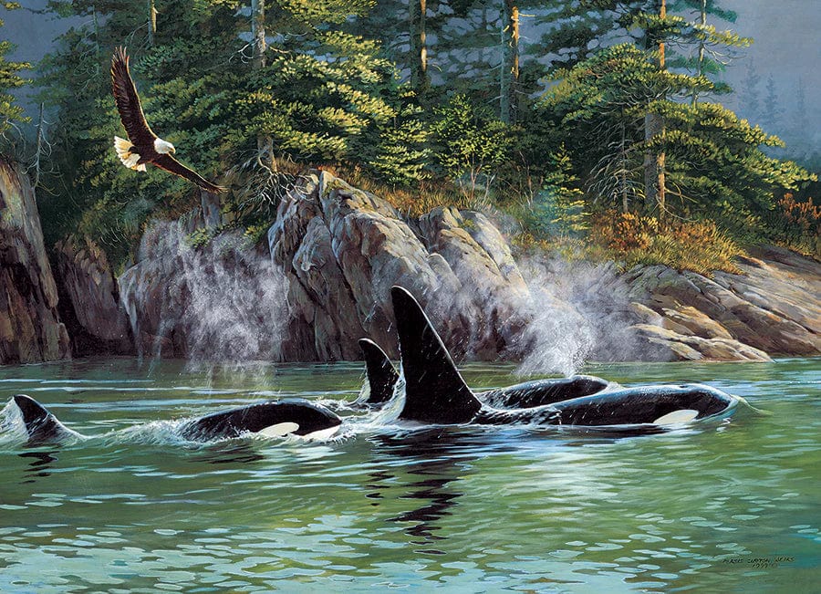 Outset Media Puzzles Orcas | 1000 Piece