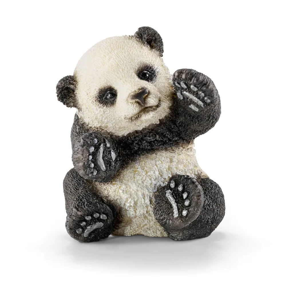 front view of panda cub