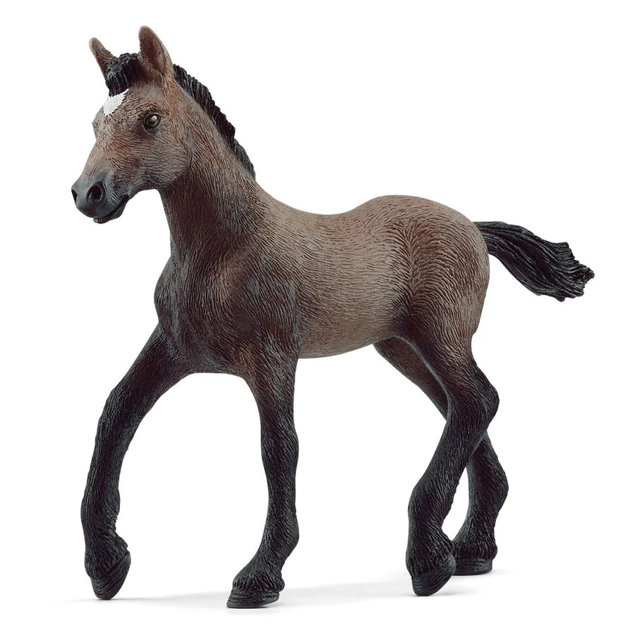 angled side view of foal