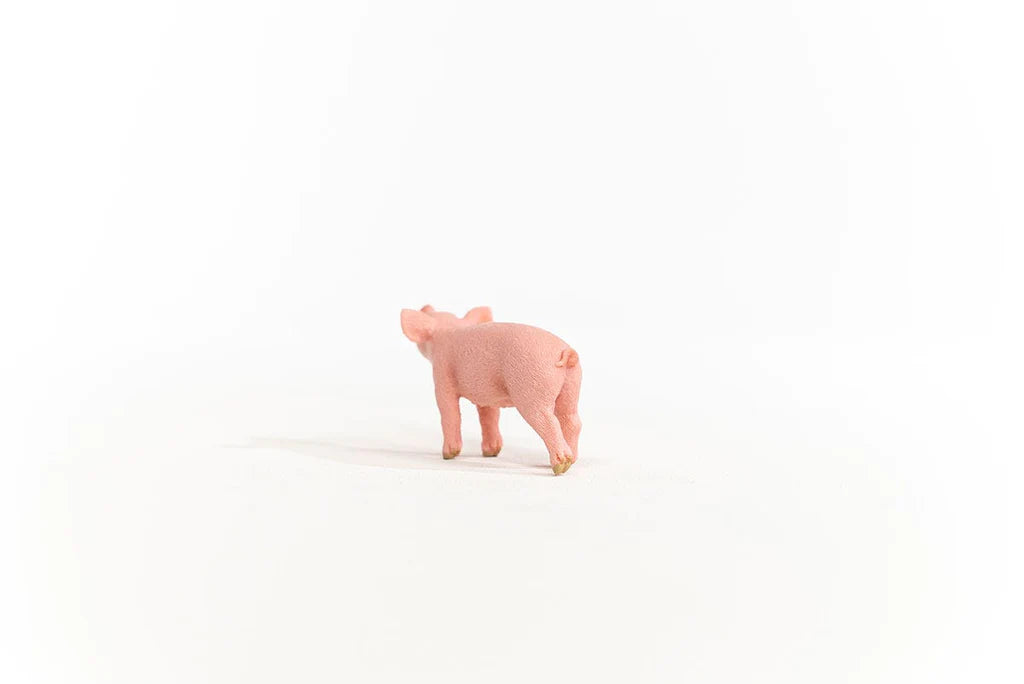 angled view of back of piglet