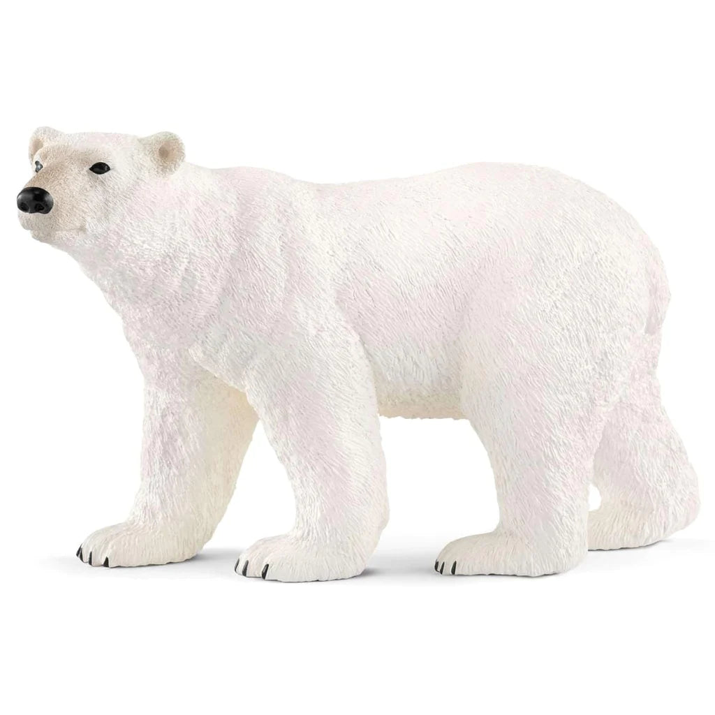 side view of polar bear