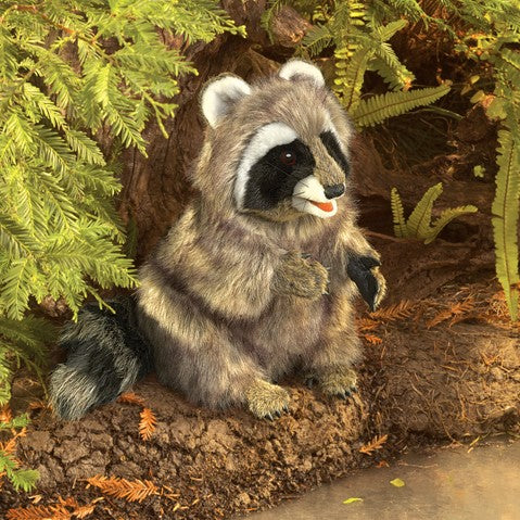 Raccoon | Folkmanis