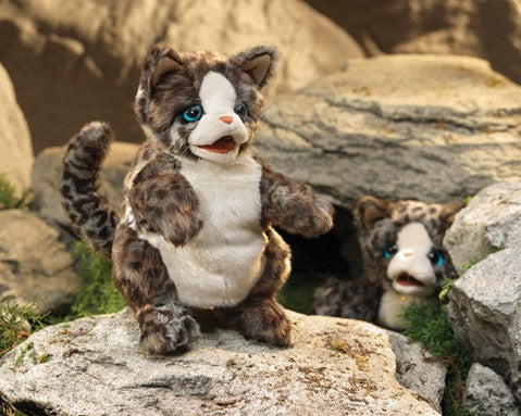 Kitten, Wildcat | Folkmanis