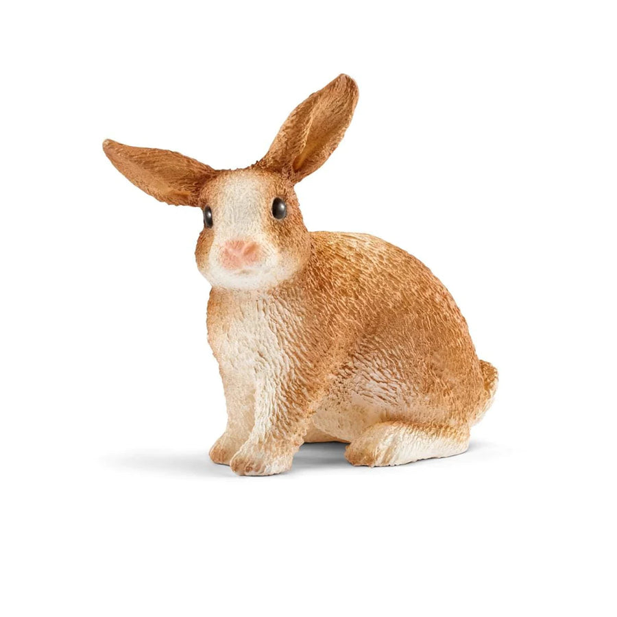 angled front view of rabbit