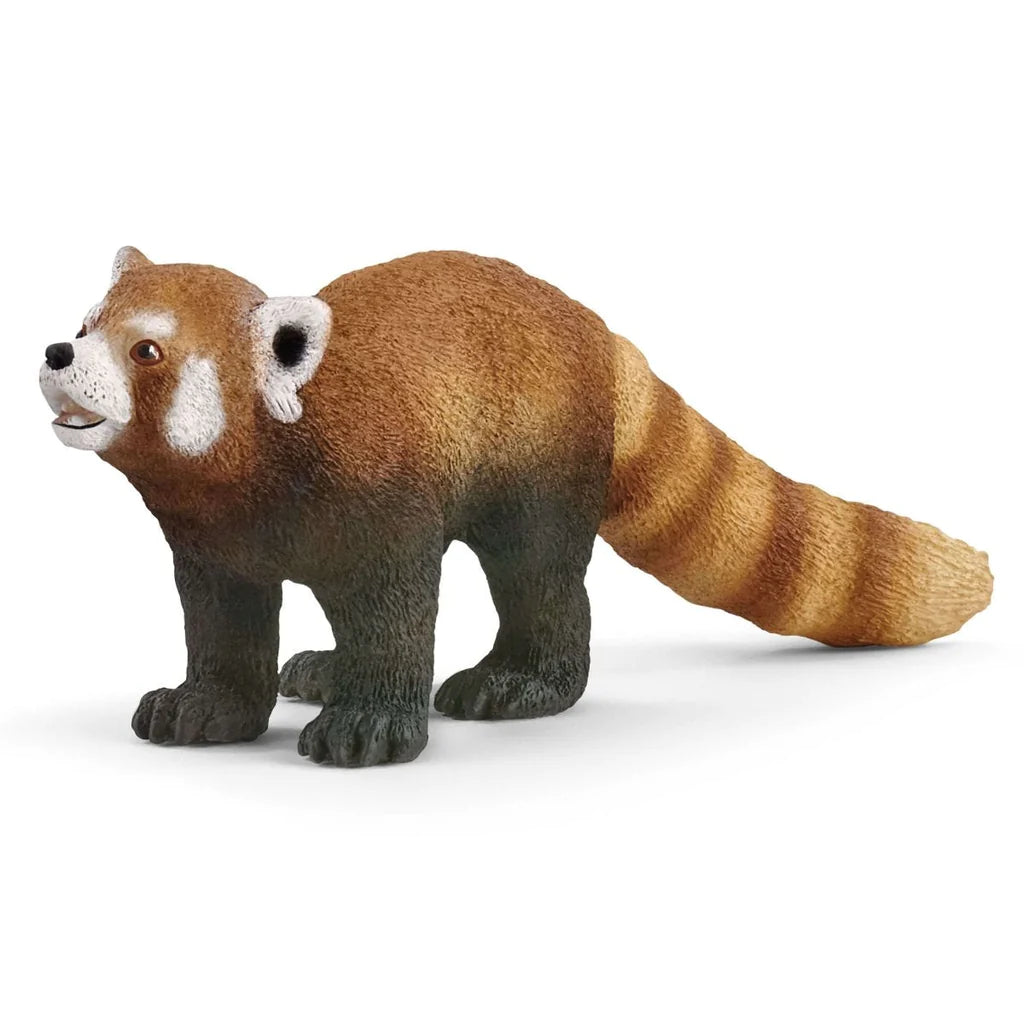 front side view of red panda