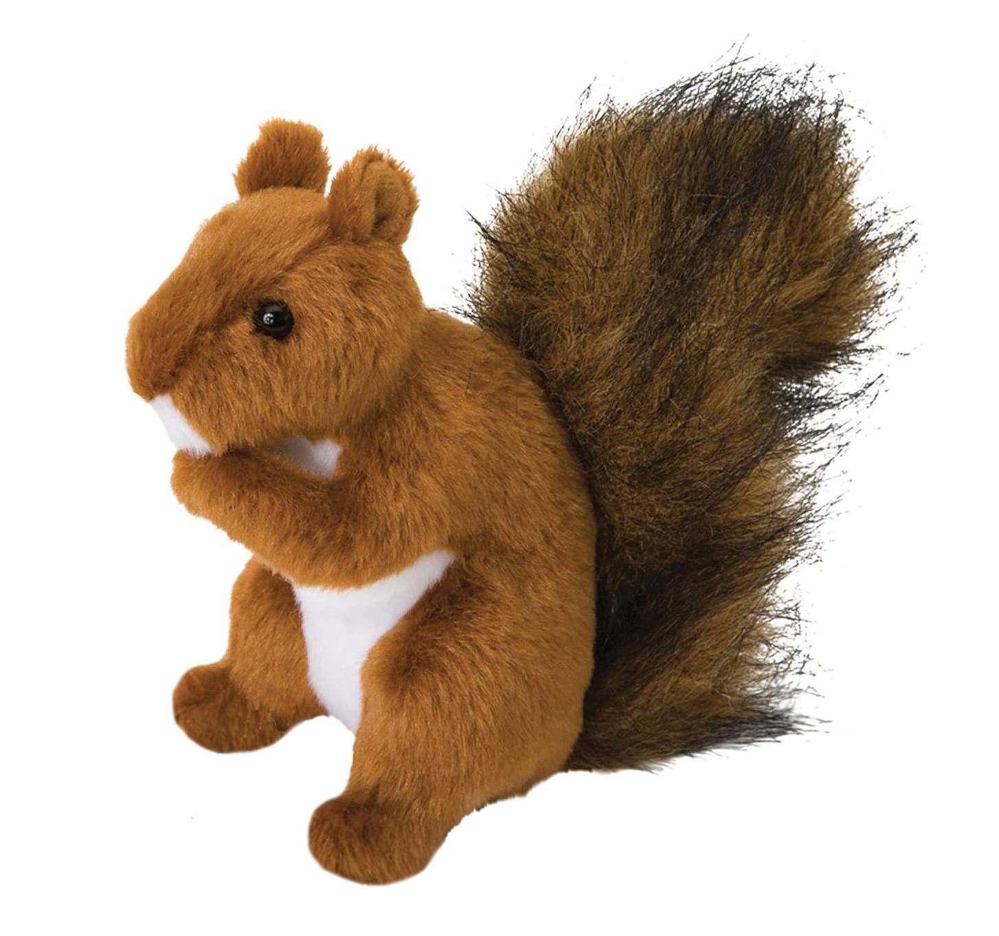 Roadie Red Squirrel | Douglas