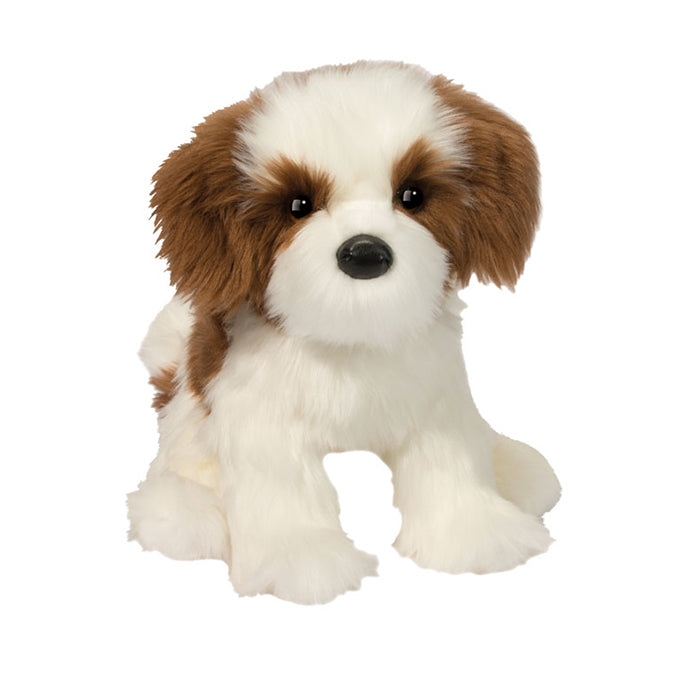 Farren Shih Tzu  | Douglas