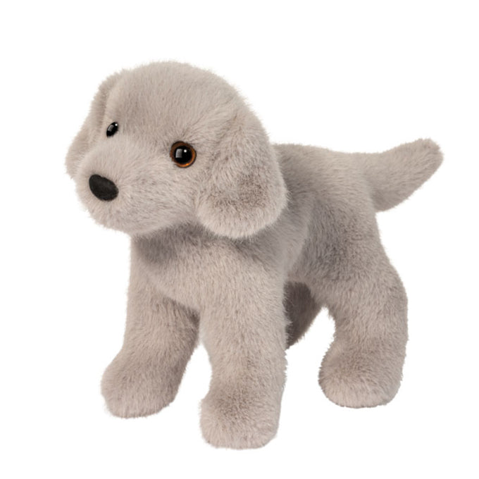 Slate Silver Lab | Douglas