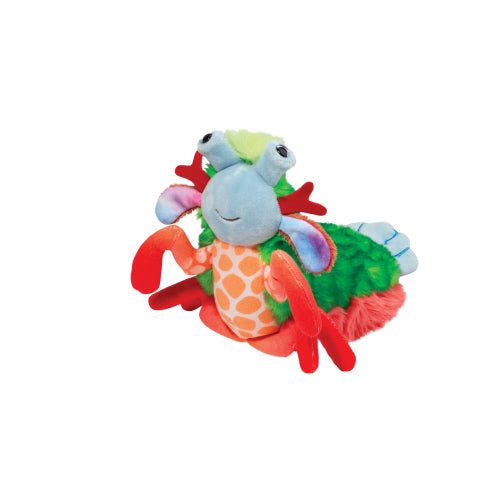 Punchie Mantis Shrimp | Douglas