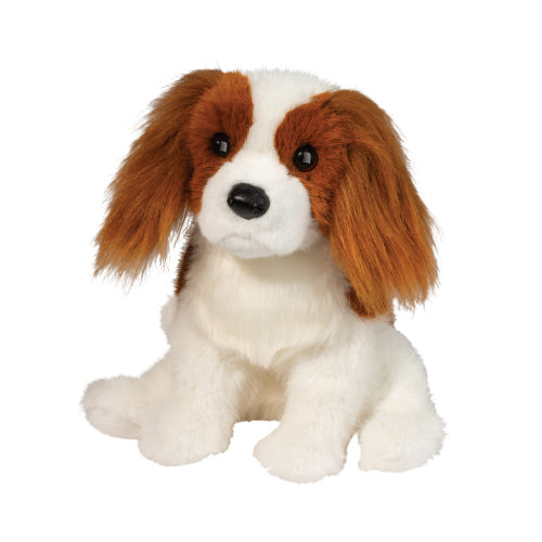 Kingsley King Charles Cavalier | Douglas