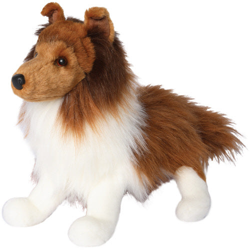 Whispy Sheltie | Douglas