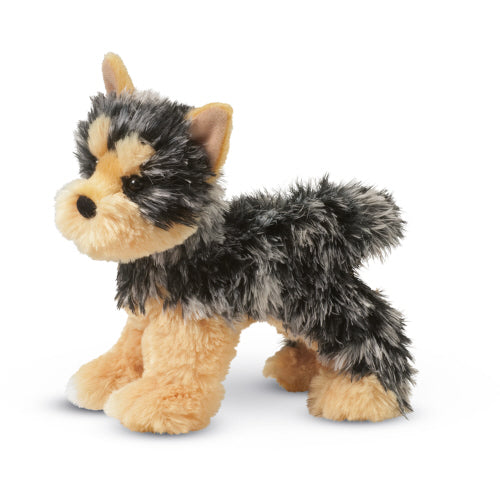 Yonkers Yorkie | Douglas