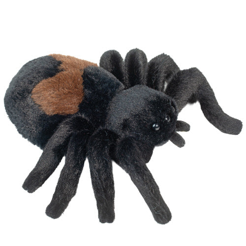 Sneakie Spider Soft | Douglas