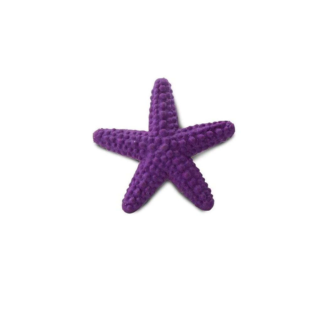 Starfish - Good Luck Minis