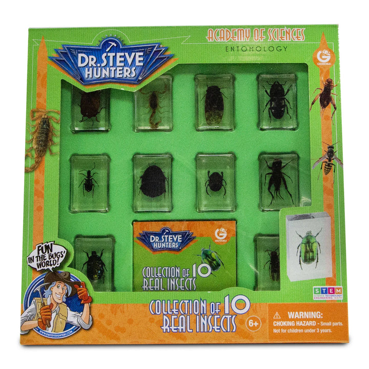 Bug's World - Collection of 10 Real Insects | Safari LTD