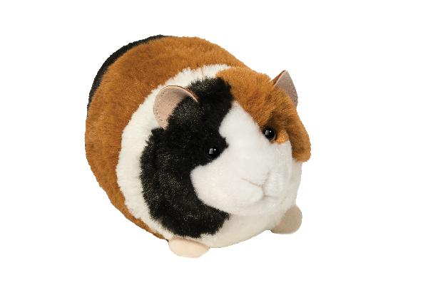 Pippin Guinea Pig  | Douglas