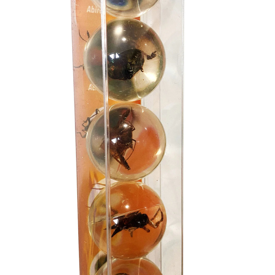 Geoworld Bug Marbles | Safari LTD