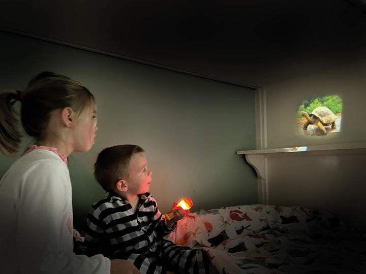 kids using projector, image of a tortoise on wall