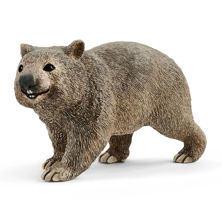 front side view of wombat