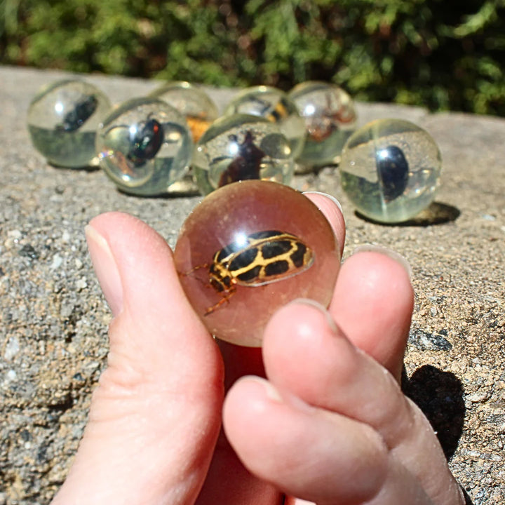 Geoworld Bug Marbles | Safari LTD